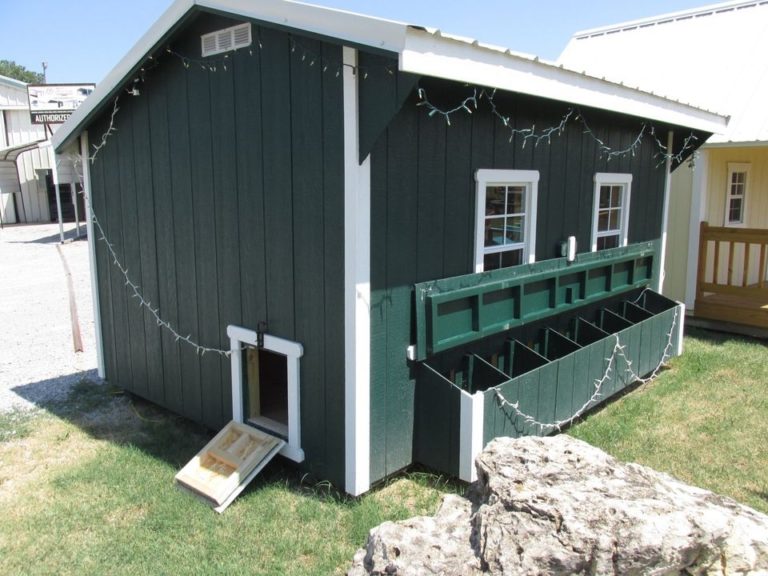 Chicken Coop Central! 8'x12' Sizes With and Without Runs and Solar