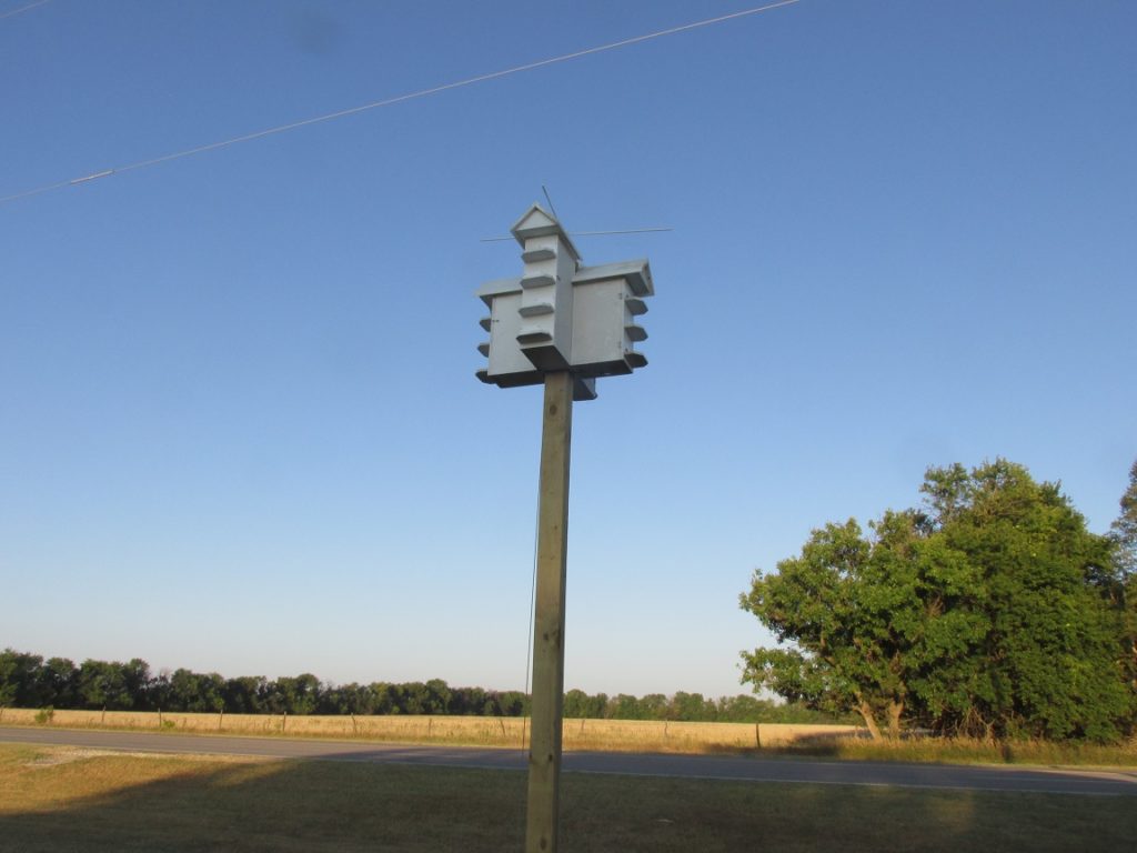 amish-purple-martin-house-classic-white-with-winch-pole-projective